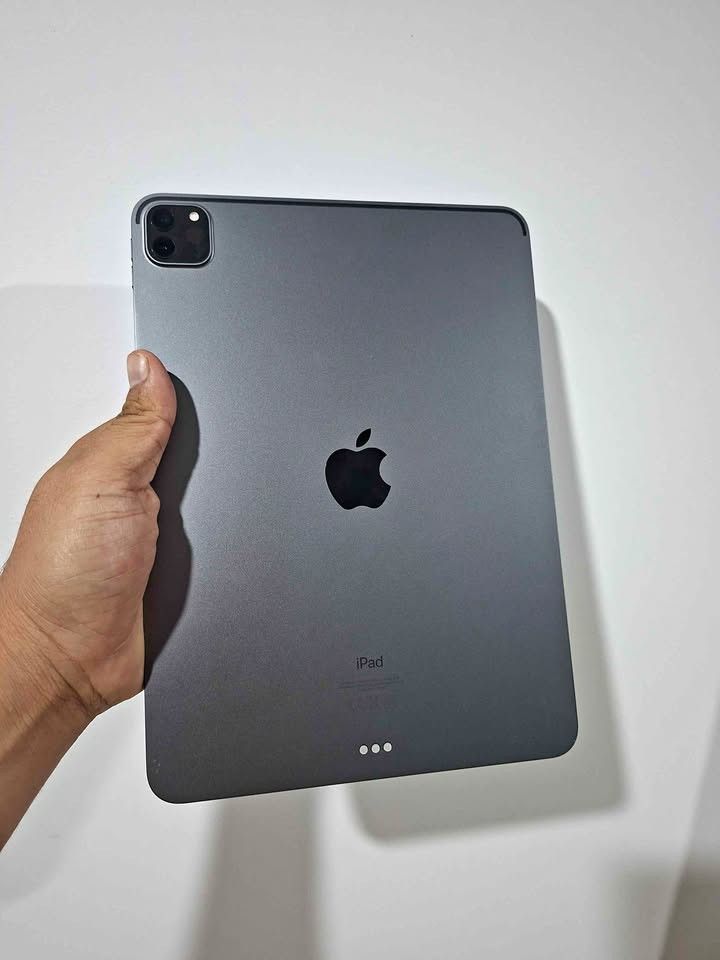 Apple Pro