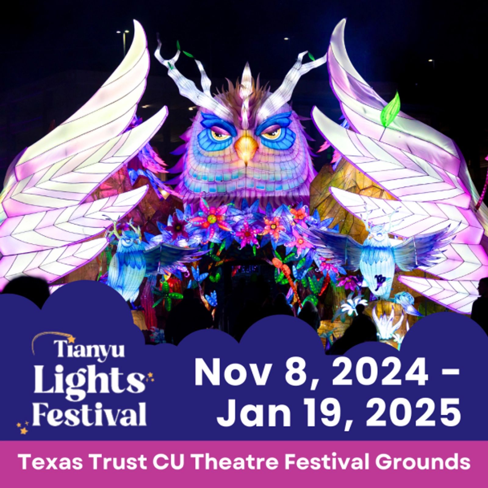 Tianyu Lights Festival Dallas Tickets at Texas Trust CU Theater Grounds in Grand Prairie, Texas on 12/28/2024