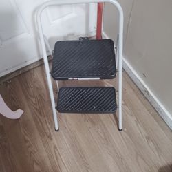 Pole Saw And Step Ladder 