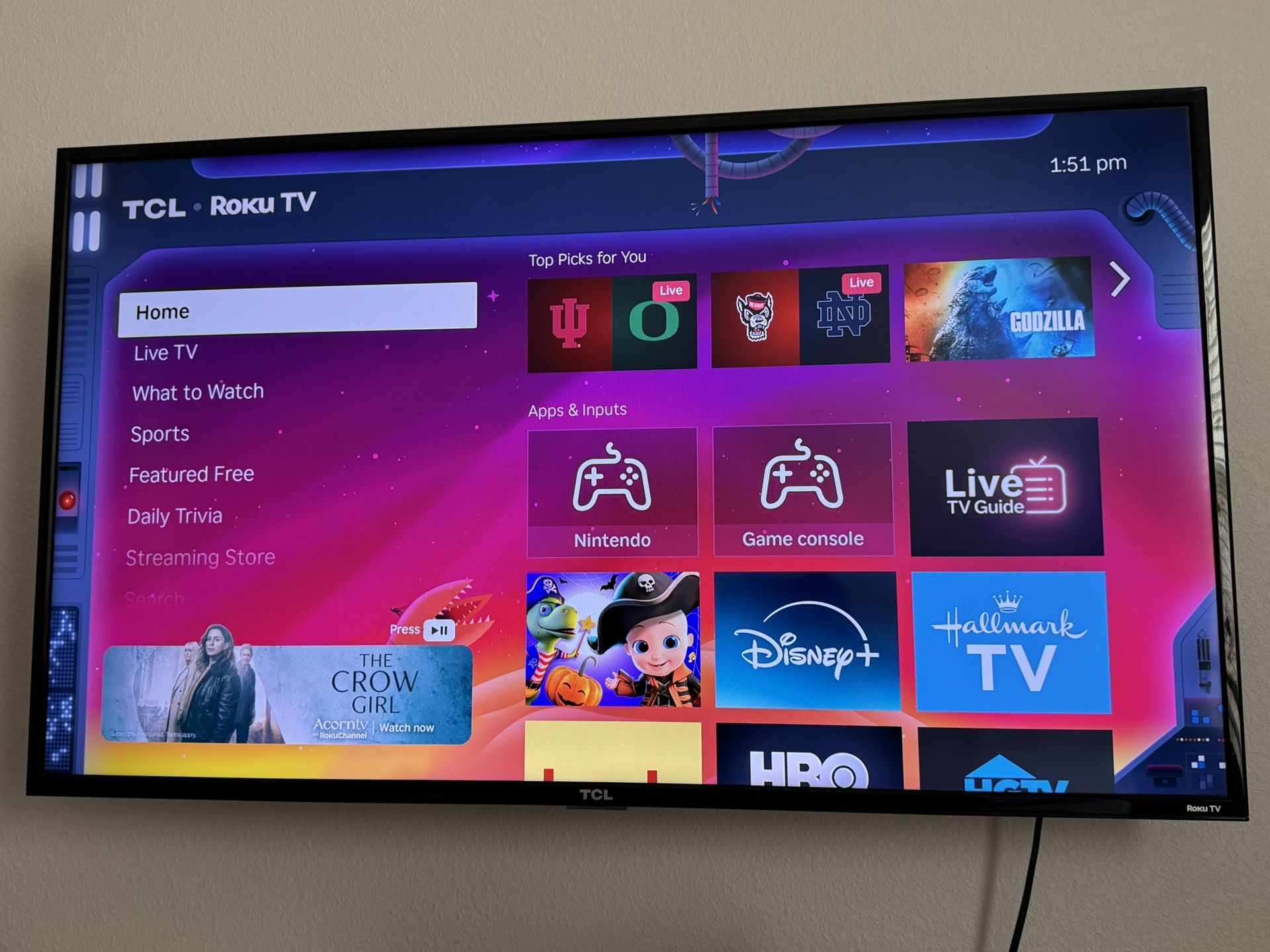 49” TCL Roku Smart TV 