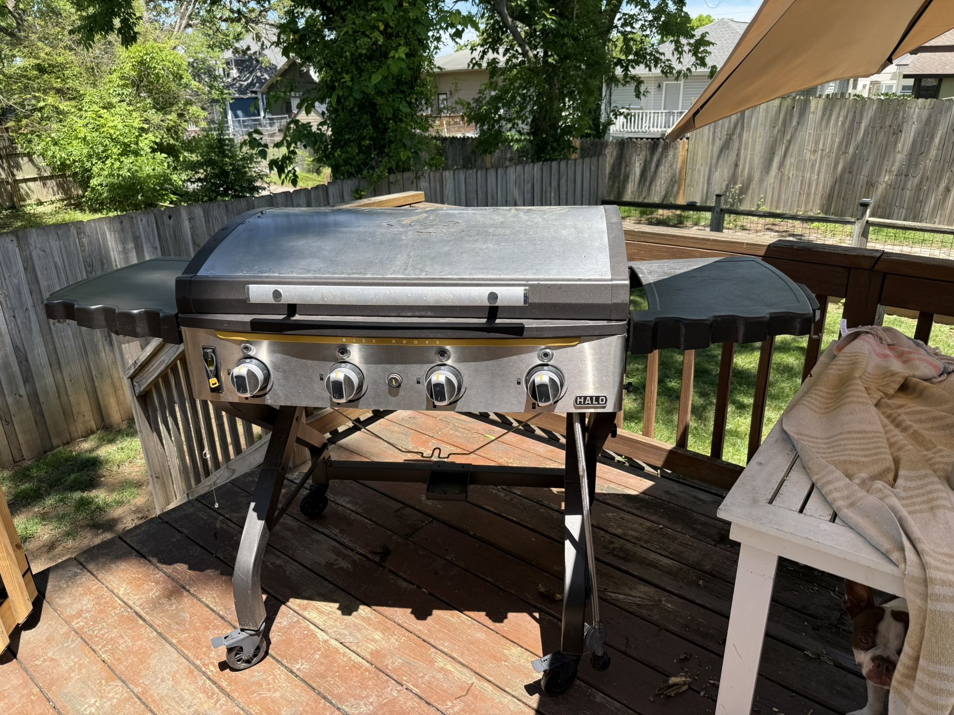 Halo Elite4B Outdoor Griddle