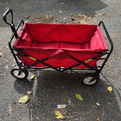 WAGON USED TO CARRY KIDS.