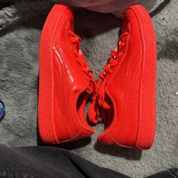 Puma 5.5y