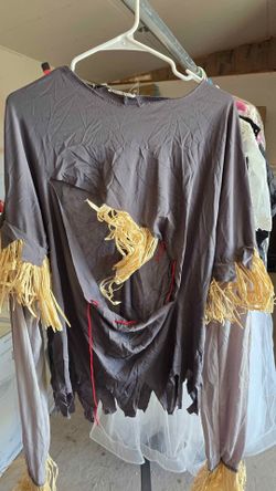 Scarecrow costume - adult large