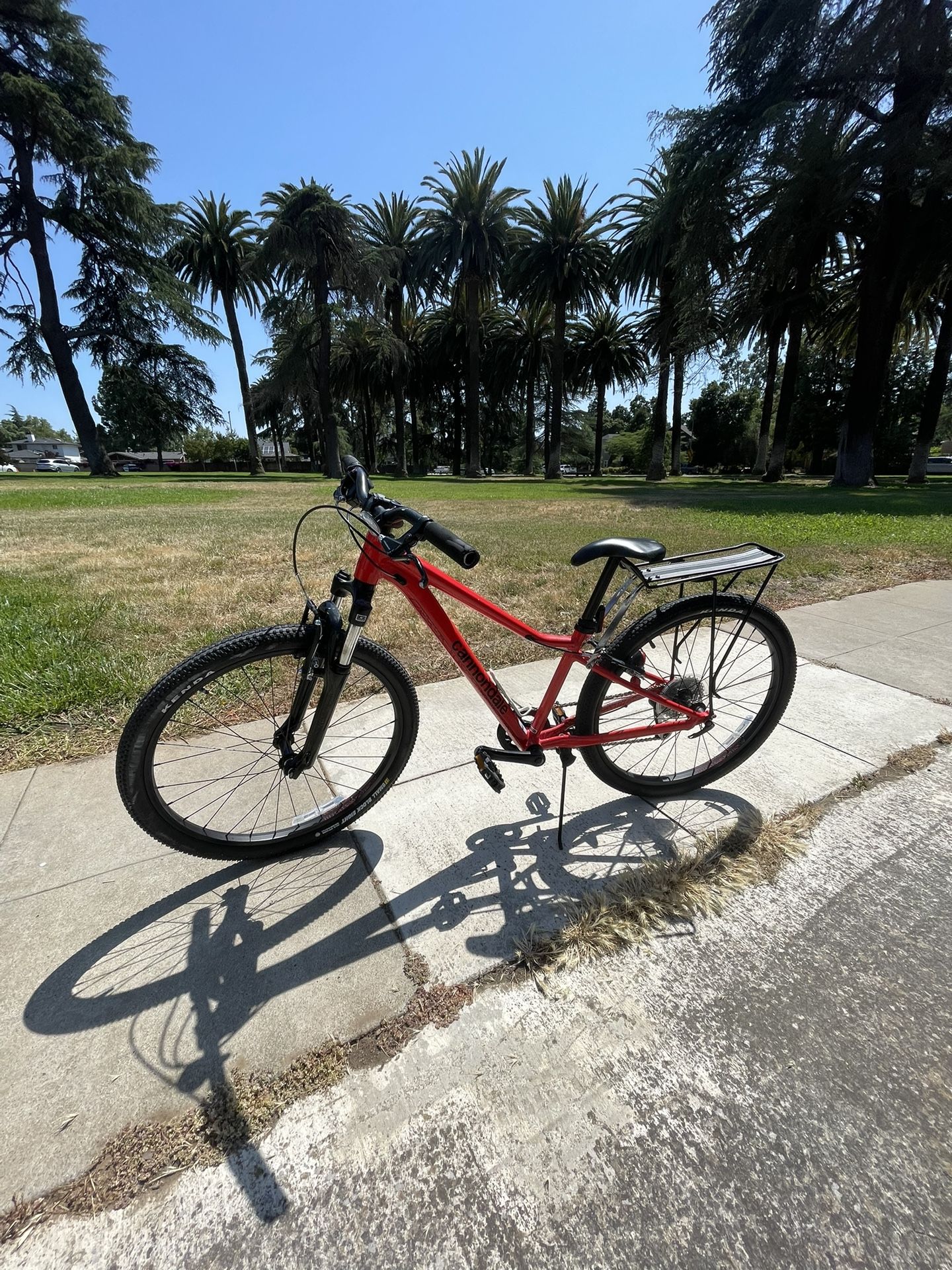 Cannondale Trail Bike 24”