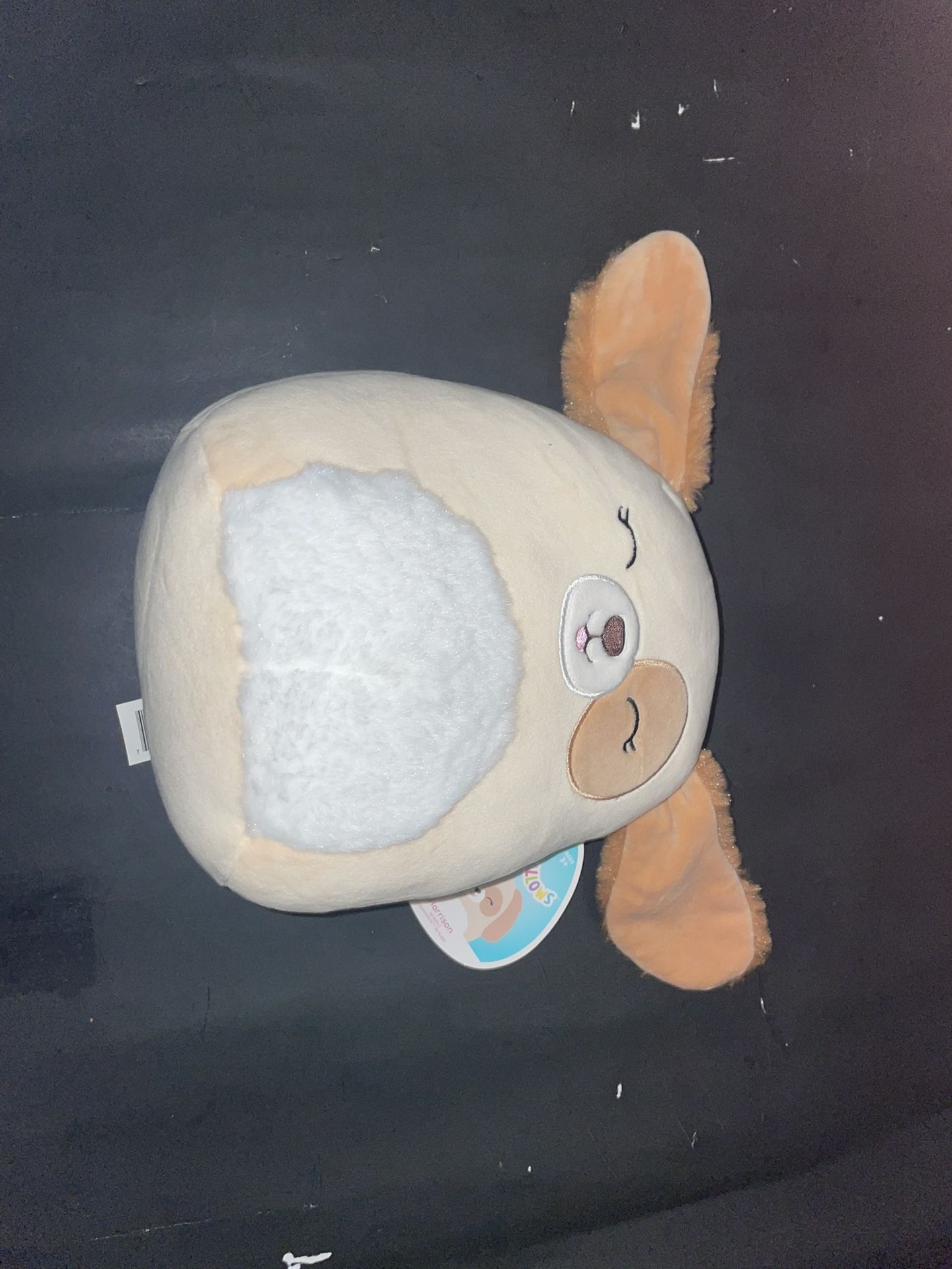 Squishmallow Plush Toy Harrison The Dog 8” Great Condition