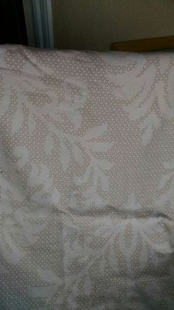 Shower curtain