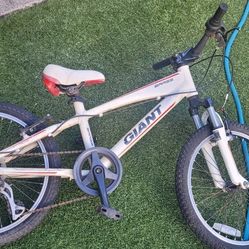 Bike Giant Kids