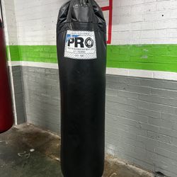 100lb Pro Bag 