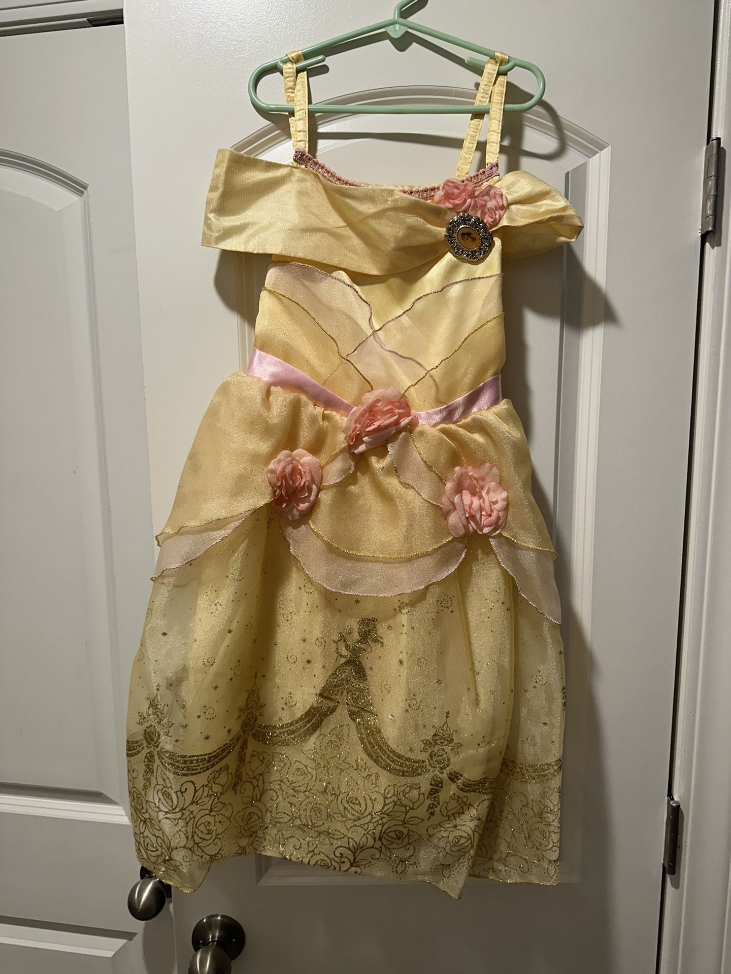 Disney Belle Costume