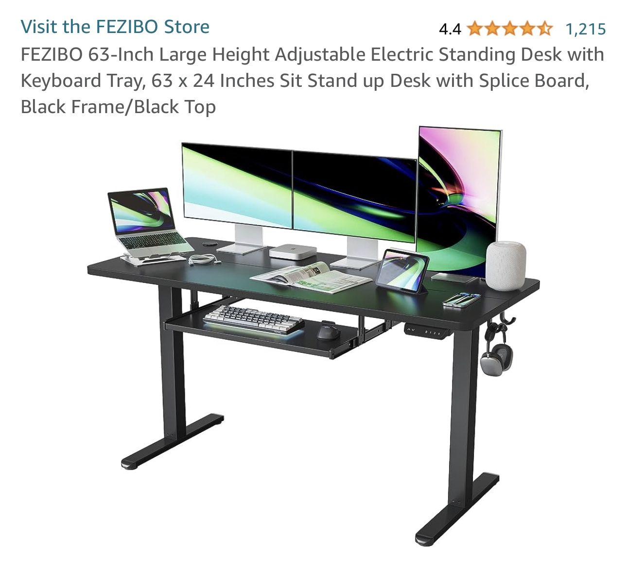 Fezibo Electric Standing Desk 63x24