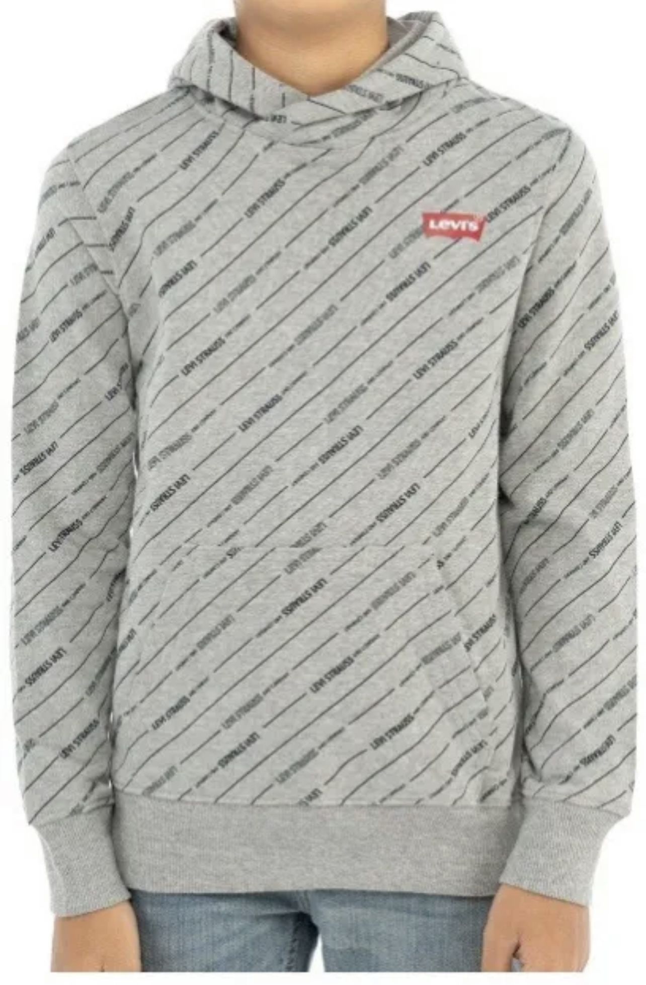 Levi’s boys Graphic hoodie