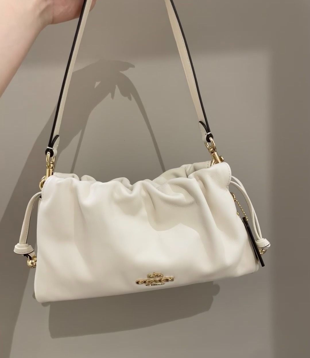 Coach Small Cloud-shaped Bag