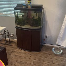 Fish Tank With All Accessories And Fish 