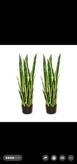 🔥new inbox set for 2 🔥3 ft. Artificial Snake Plant in black Pot
