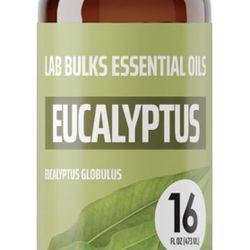 Eucalipto Essential Oil New Big Bottle Of 16oz