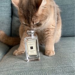 Perfume Jo Malone