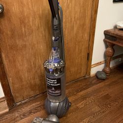 Dyson Ball Animal 2