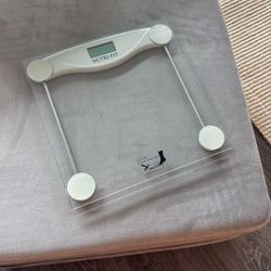 Scales, Convinient And Functional 