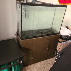 50 Gallon Fish 🐟 Tank With Wooden Stand