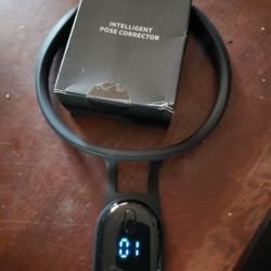 Intelligent Pose Corrector 