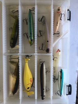Bass Fishing Topwater Lures