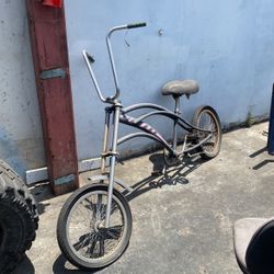 Beach Cruiser