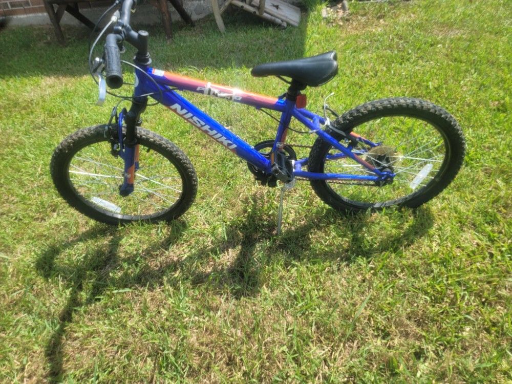nishiki boys  20'' mountain bike