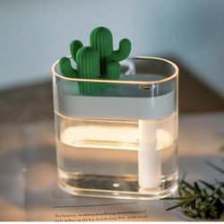 Cactus humidifier