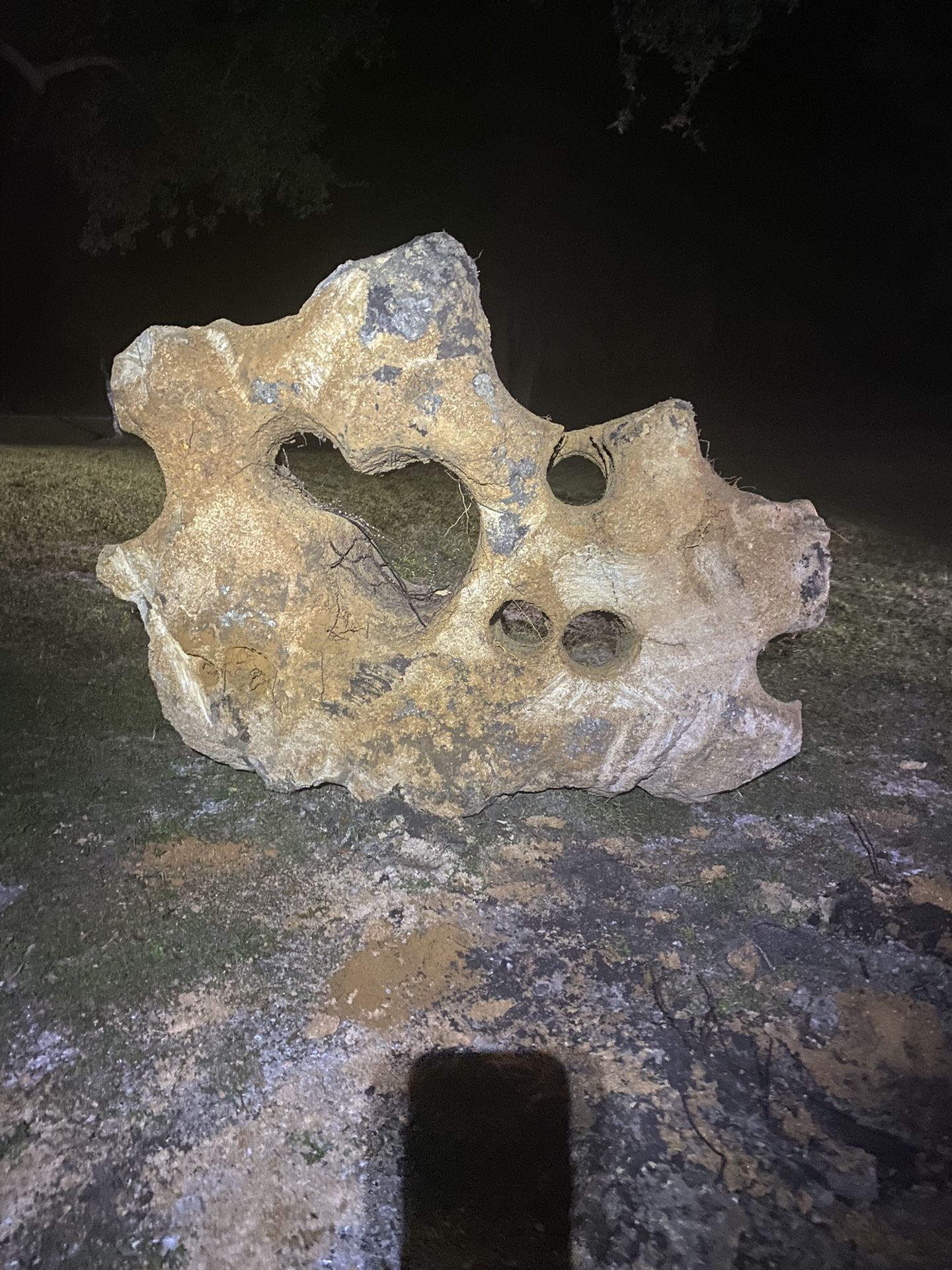 Coquina Boulders