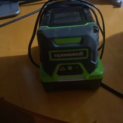 Green Works Battery And Charger