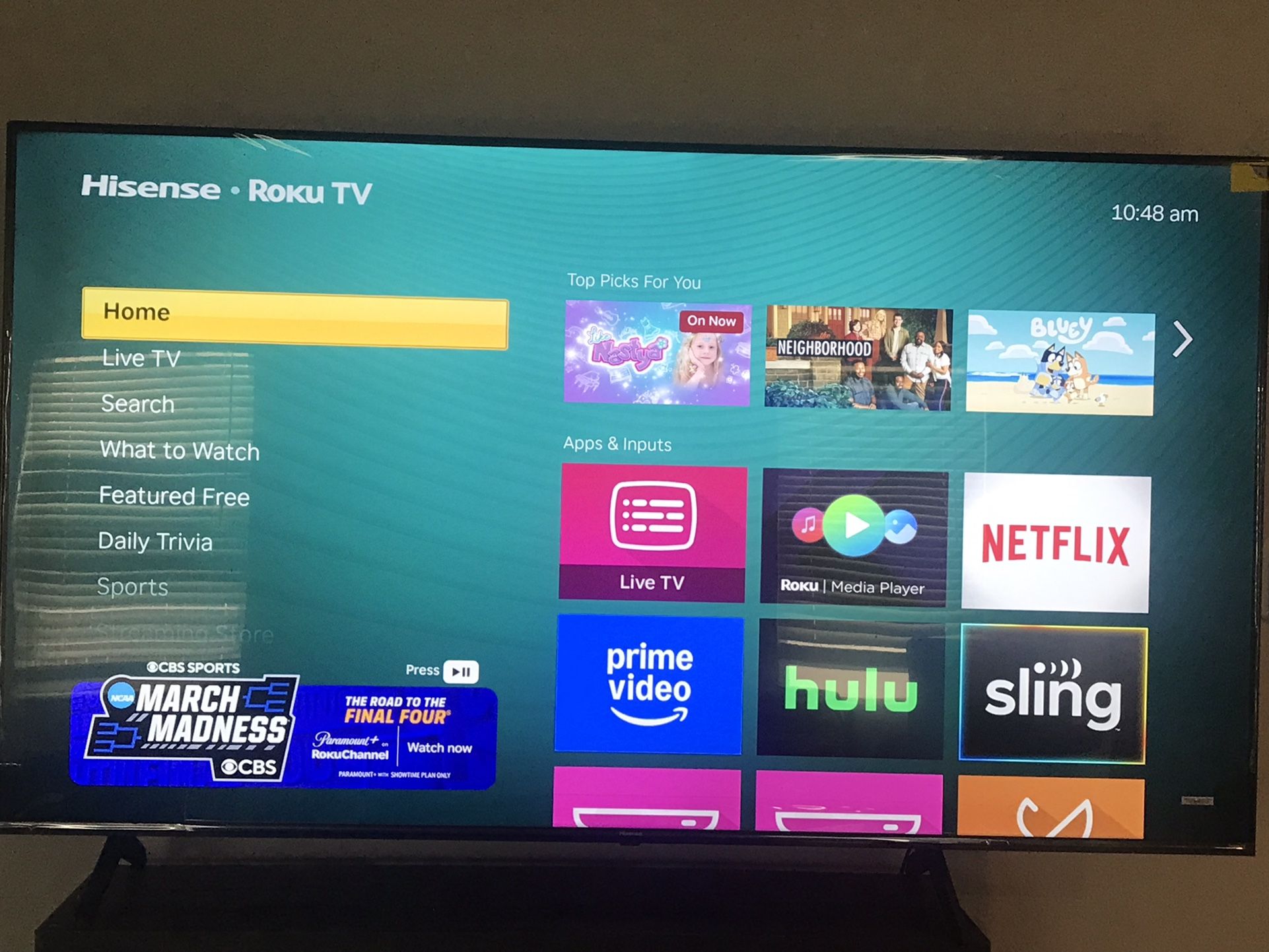 TV 70 Inches UHK 4k with Roku Support , Sofa Couches, Artificial Plant With Pots