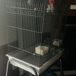 jaula de pájaro