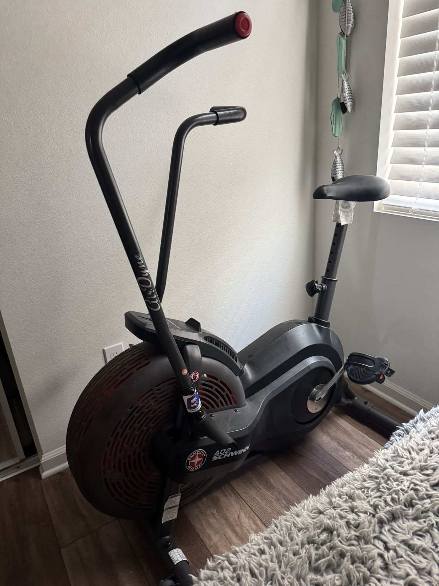 Schwinn Airdyne Exersize Bike