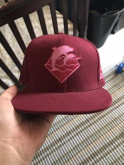 Pink dolphin hat