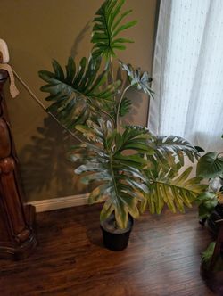 Artificial Philodendron Selloum Plant