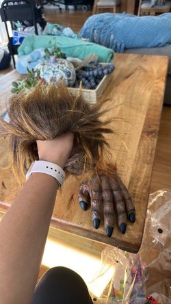 Wolf hair and one hand