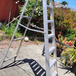 Ladder 8ft $70