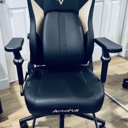 Office / Gaming Chair