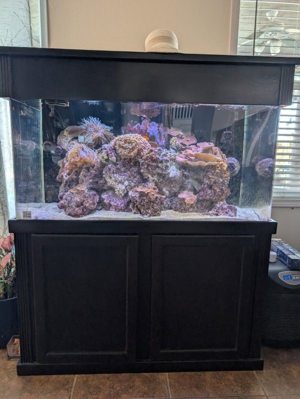 120 Gallon Acrylic Aquarium With Stand And Canopy And Sump