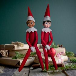 Elf On The Shelf Boys And Girls NEW $15 Each (Price Is Firm) CASH ONLY
