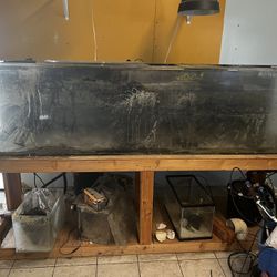 245 Gallon Acrylic Tank And Stand