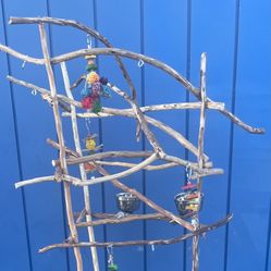 The Natural Hangout Spot For Your Small Parrot ( Bird ) … Cockatiel Conure Ringneck Love ❤️ Yess We Deliver !!