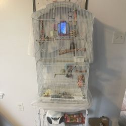 Bird Cage 61”H 17 “1/2 W $60