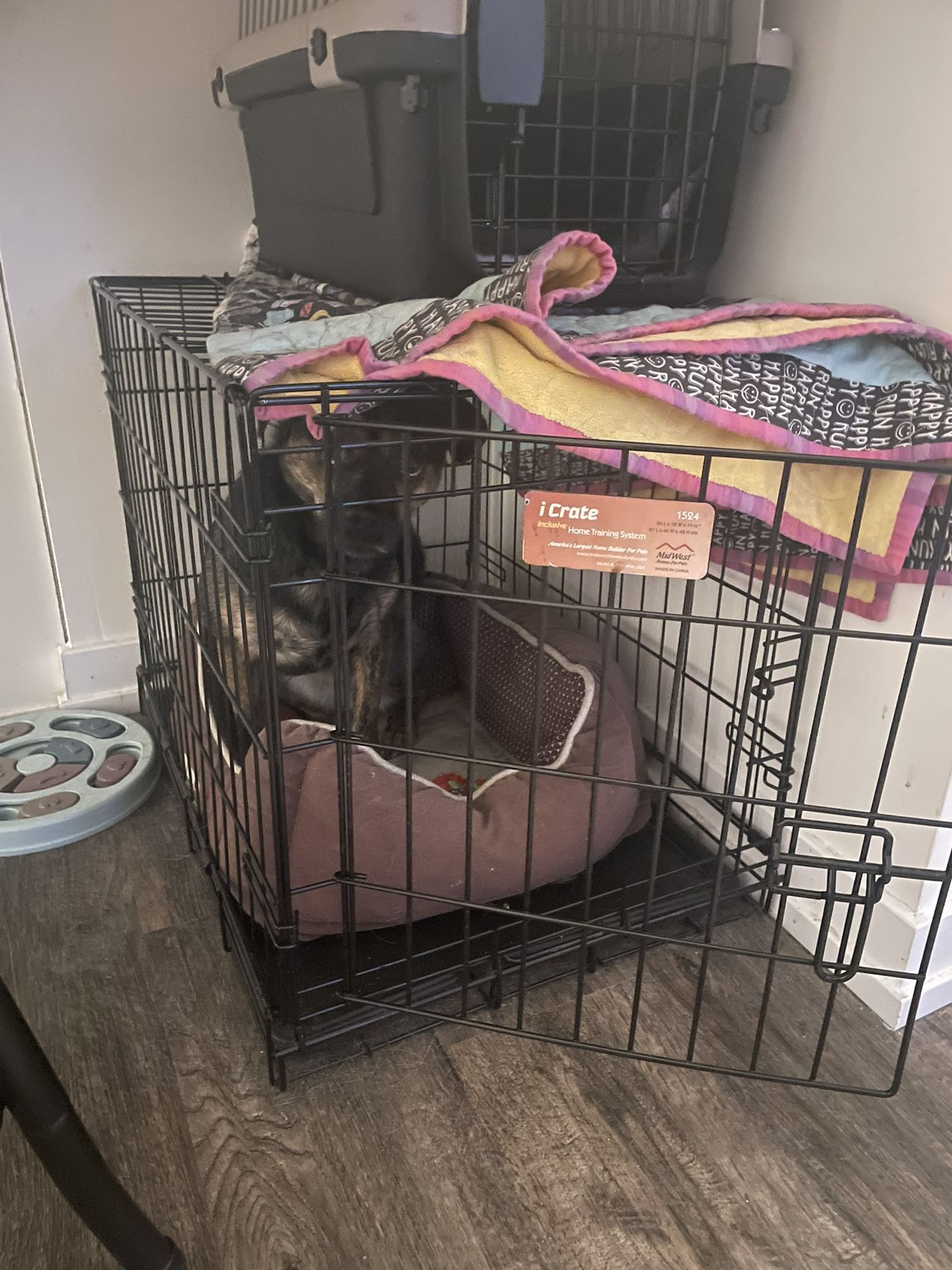 Dog Crate- Cute puppy Not Included! ;)