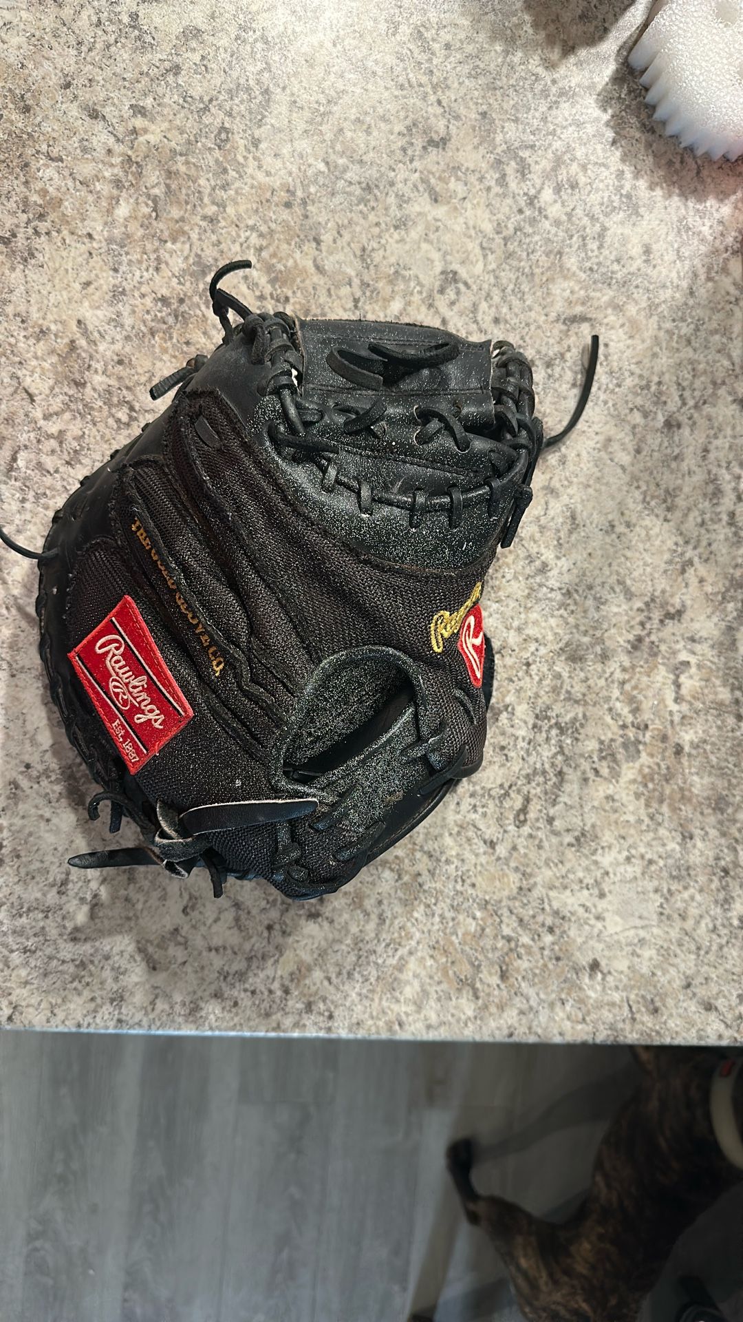Catchers Glove