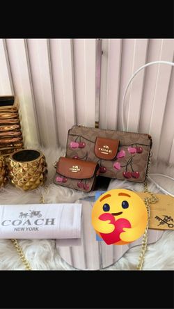 Coach Bag/Wallet