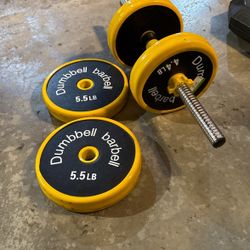 Dumbbell Barbell/ Weights