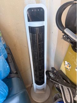 fan