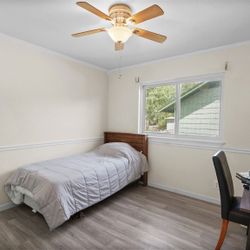 Twin Bed With Box Springs , Used Mattress 